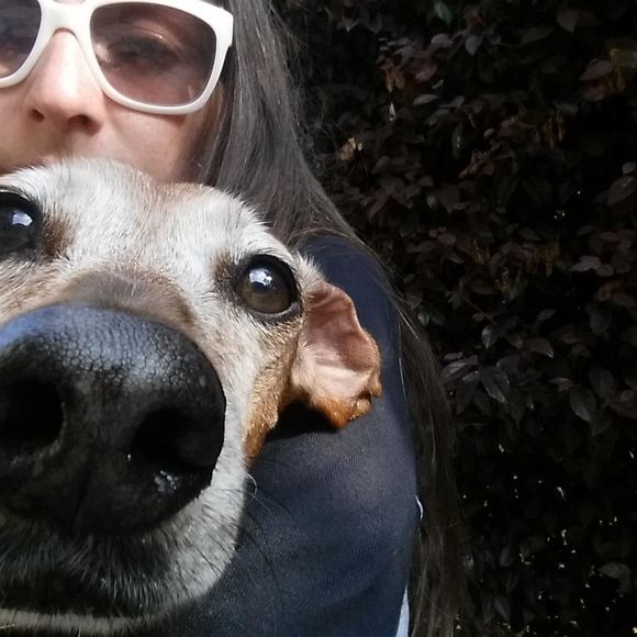 Meet your Posher, Sandya - Picture 1 of 1